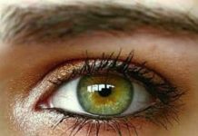 THE IRIS CODE: HERE’S HOW YOUR EYE COLOR CAN INTRIGUINGLY REVEAL EVERY ASPECT OF YOUR PERSONALITY