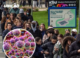 Symptoms of Meningitis B as ‘explosive’ UK outbreak treated as ‘national incident’