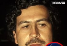 Farmer Discovered $600 Million Of Pablo Escobar’s Money Buried On His Land