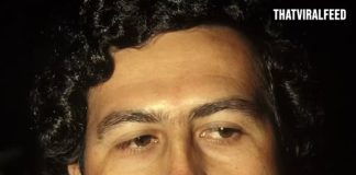 Farmer Discovered $600 Million Of Pablo Escobar’s Money Buried On His Land