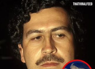 Farmer Discovered $600 Million Of Pablo Escobar’s Money Buried On His Land