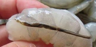 The “vein” of the shrimp: a little-known culinary detail