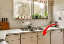 NEVER Store These Items Under the Kitchen Sink!