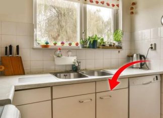 NEVER Store These Items Under the Kitchen Sink!