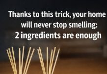 Thanks to this trick your house will never stop smelling: 2 ingredients are enough