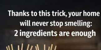 Thanks to this trick your house will never stop smelling: 2 ingredients are enough