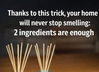 Thanks to this trick your house will never stop smelling: 2 ingredients are enough