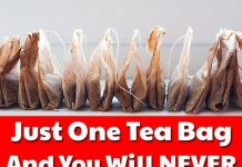 Can a Tea Bag Really Keep Mice and Spiders Away