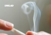 Minute-by-minute breakdown of what cannabis does to your body as Trump changes law