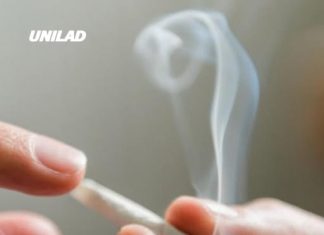 Minute-by-minute breakdown of what cannabis does to your body as Trump changes law