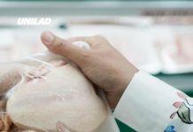 Deadly bacteria linked to chicken and eggs found in 13 states as officials issue warning