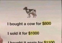 The Cow Math Puzzle: A Brain Teaser for the Curious Mind