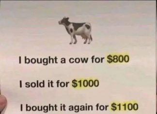 The Cow Math Puzzle: A Brain Teaser for the Curious Mind