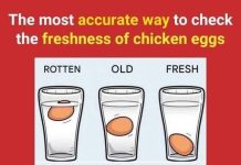 Nana’s Egg Freshness Test