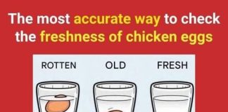 Nana’s Egg Freshness Test