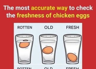 Nana’s Egg Freshness Test