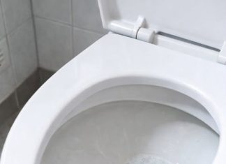 Foamy Urine: Why Bubbles Appear in Your Urine and What You Can Do About It