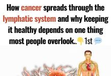 How Cancer Spreads Through the Lymphatic System (and How to Support Its Health)