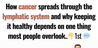 How Cancer Spreads Through the Lymphatic System (and How to Support Its Health)
