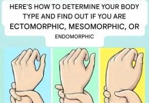 Are you an ectomorph, mesomorph, or endomorph? Discover your body type and how to make the most of it.