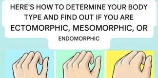 Are you an ectomorph, mesomorph, or endomorph? Discover your body type and how to make the most of it.