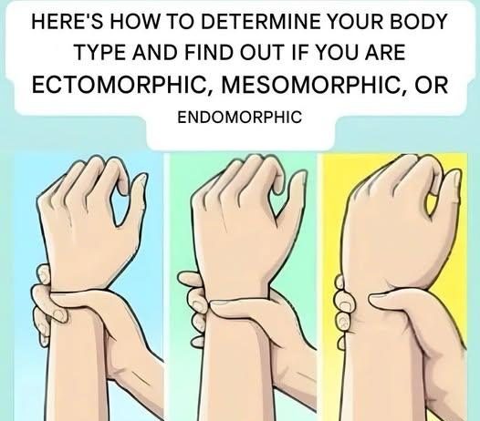 Are you an ectomorph, mesomorph, or endomorph? Discover your body type and how to make the most of it.