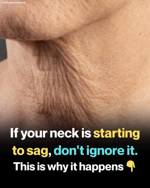 neck