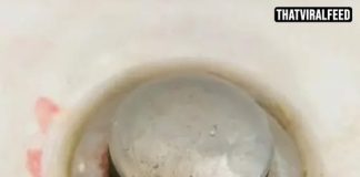 Doctor Issues Urgent Warning To Anyone Finding ‘Pink Slime’ In Their Bathroom