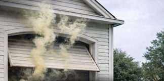 7 Natural Scents That May Help Keep Snakes Away from Your Home