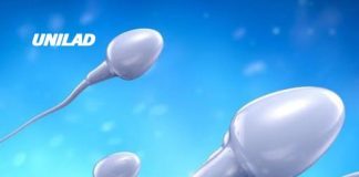 Bizarre Sperm Racing World Cup features $100K prize