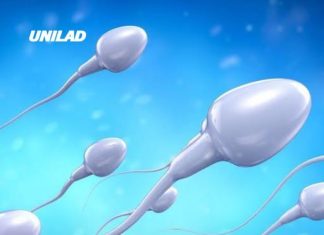 Bizarre Sperm Racing World Cup features $100K prize