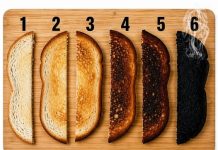 Which Toast Is Perfect
