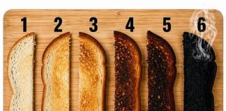Which Toast Is Perfect