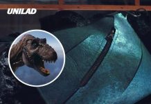 Scientists have created the first ever T-Rex leather handbag with a massive price tag