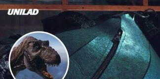 Scientists have created the first ever T-Rex leather handbag with a massive price tag