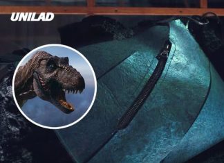 Scientists have created the first ever T-Rex leather handbag with a massive price tag