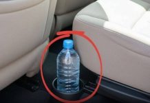 This is why you should never leave a water bottle in your car.