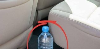 This is why you should never leave a water bottle in your car.
