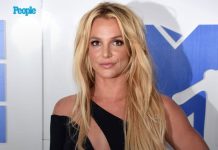 Britney Spears Pleads Guilty to Reckless Driving After DUI Arrest, Ordered to See Psychiatrist Twice a Month