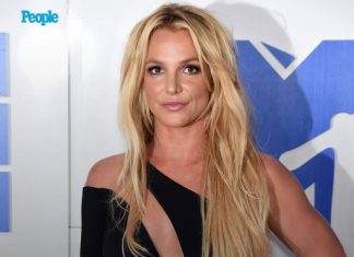 Britney Spears Pleads Guilty to Reckless Driving After DUI Arrest, Ordered to See Psychiatrist Twice a Month