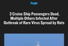 3 Cruise Ship Passengers Dead, Multiple Others Infected After Outbreak of Rare Virus Spread by Rats