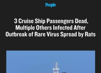 3 Cruise Ship Passengers Dead, Multiple Others Infected After Outbreak of Rare Virus Spread by Rats