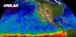 How devastating a Super El Niño would be for the US as odds show it could be strongest in history