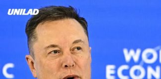 Elon Musk responded to claims he had threesome with Amber Heard and Cara Delevingne