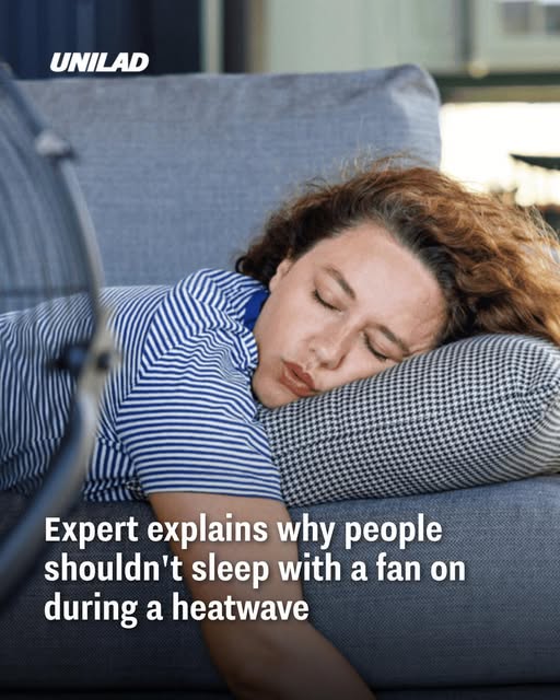 fan