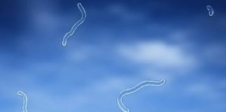 EYE FLOATERS: HARMLESS SPECKS OR HIDDEN WARNING SIGNS?