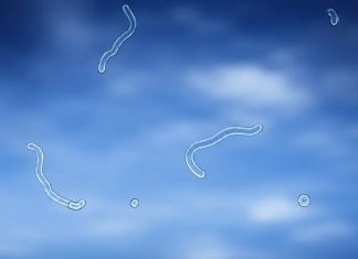 EYE FLOATERS: HARMLESS SPECKS OR HIDDEN WARNING SIGNS?