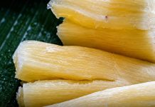 DEADLY RISK: THE ‘WORLD’S DEADLIEST FOOD’ KILLS 200+ PEOPLE YEARLY, YET 500 MILLION STILL EAT IT