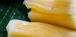 DEADLY RISK: THE ‘WORLD’S DEADLIEST FOOD’ KILLS 200+ PEOPLE YEARLY, YET 500 MILLION STILL EAT IT
