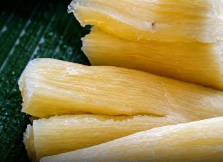 DEADLY RISK: THE ‘WORLD’S DEADLIEST FOOD’ KILLS 200+ PEOPLE YEARLY, YET 500 MILLION STILL EAT IT
